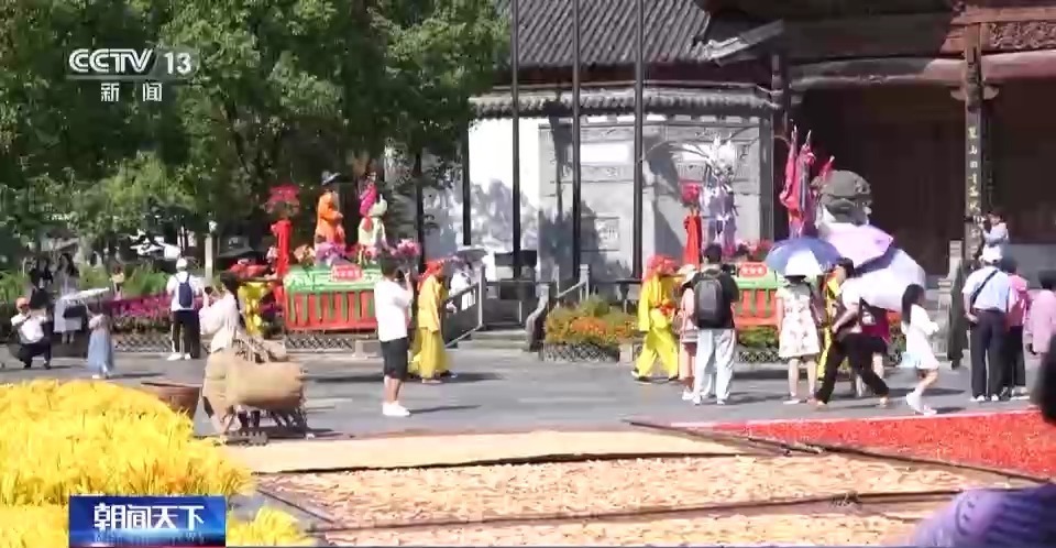 白菜网站交流